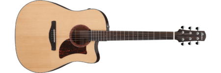 Ibanez AAD170CE-LGS Acoustic Guitar