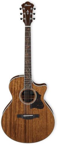 Ibanez AE245-NT Acoustic/Electric Guitar