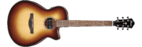 Ibanez AEG50-DHH AEG Series Acoustic Electric Guitar