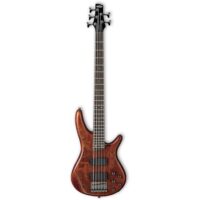 Ibanez GSR255 5-String Electric Bass - Walnut