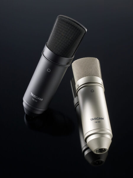 TASCAM TM-80 SILVER Condenser Microphone